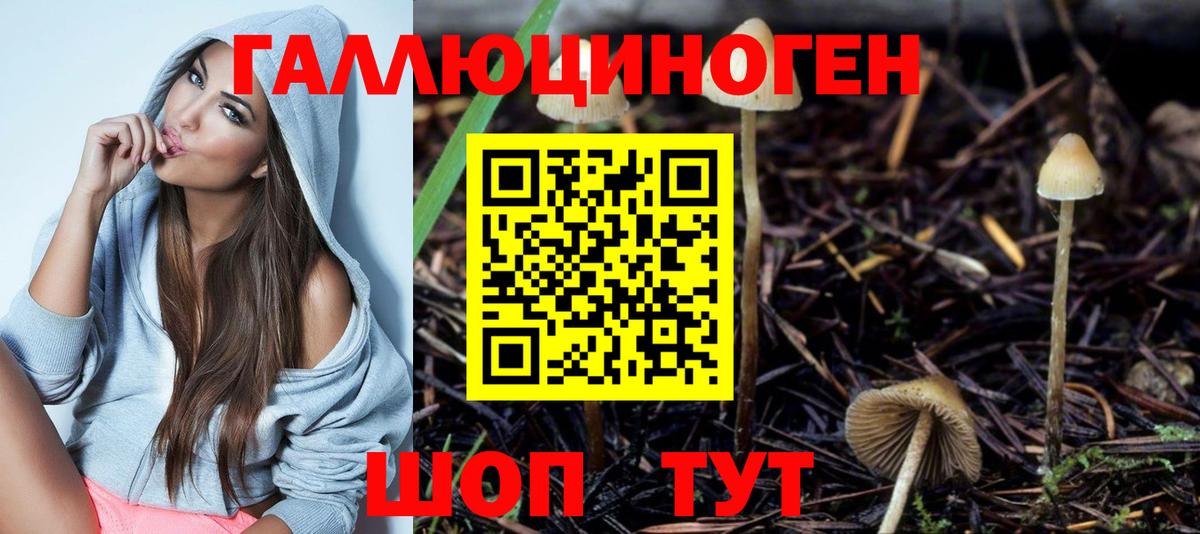Галлюциногенные грибы MAGIC MUSHROOMS  Вход с VPN  Арзамас  Псилоцибиновые грибы ЛСД 
