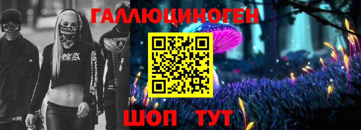 Псилоцибиновые грибы Cubensis Арзамас